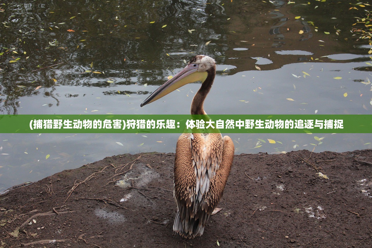 (捕猎野生动物的危害)狩猎的乐趣：体验大自然中野生动物的追逐与捕捉