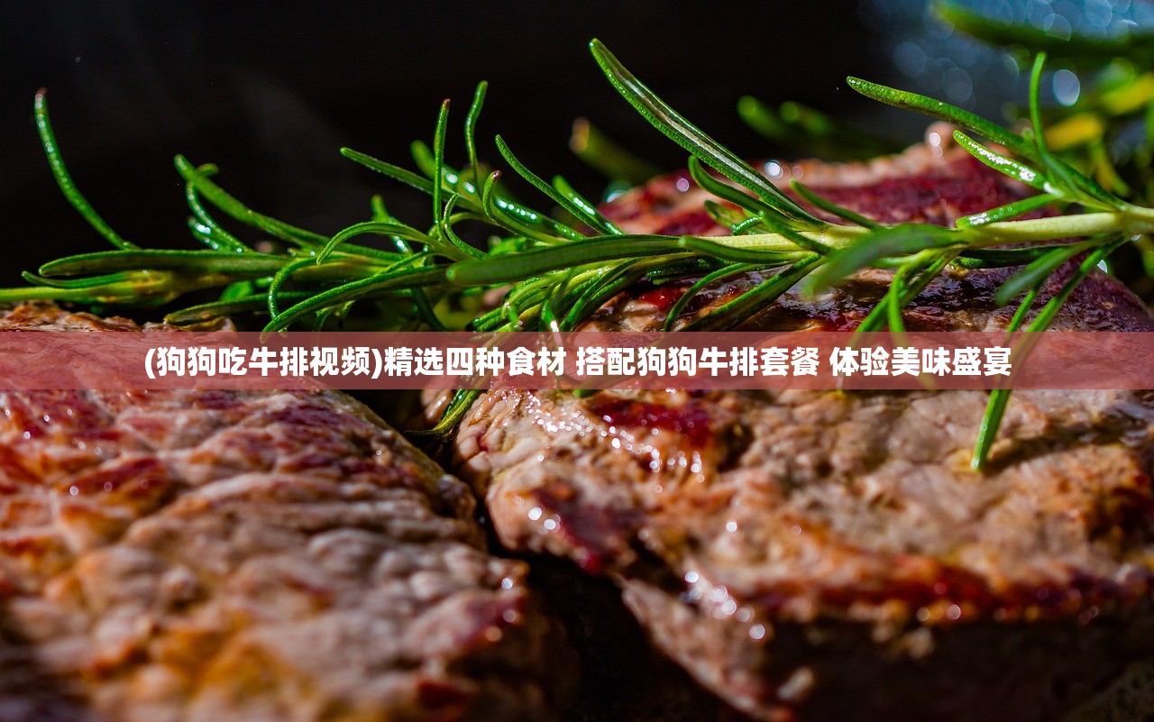 (狗狗吃牛排视频)精选四种食材 搭配狗狗牛排套餐 体验美味盛宴