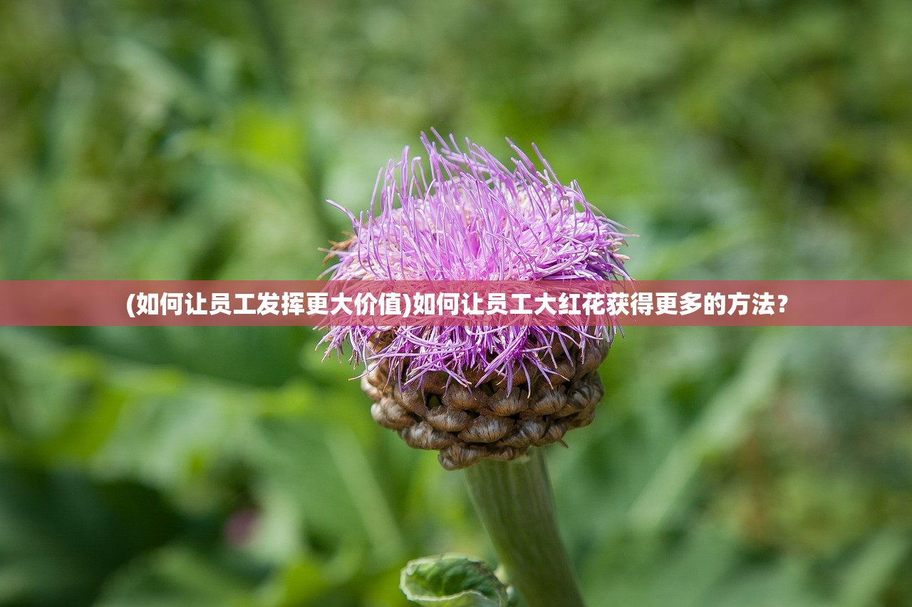 (如何让员工发挥更大价值)如何让员工大红花获得更多的方法？