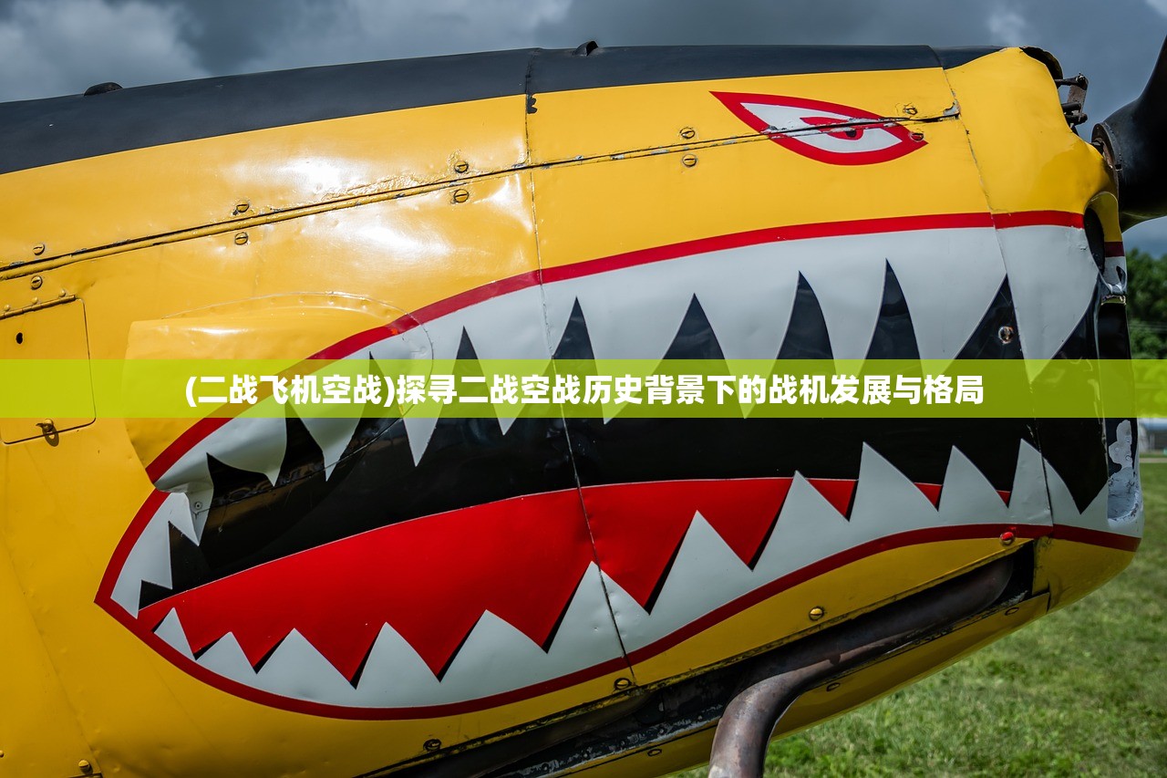 (二战飞机空战)探寻二战空战历史背景下的战机发展与格局