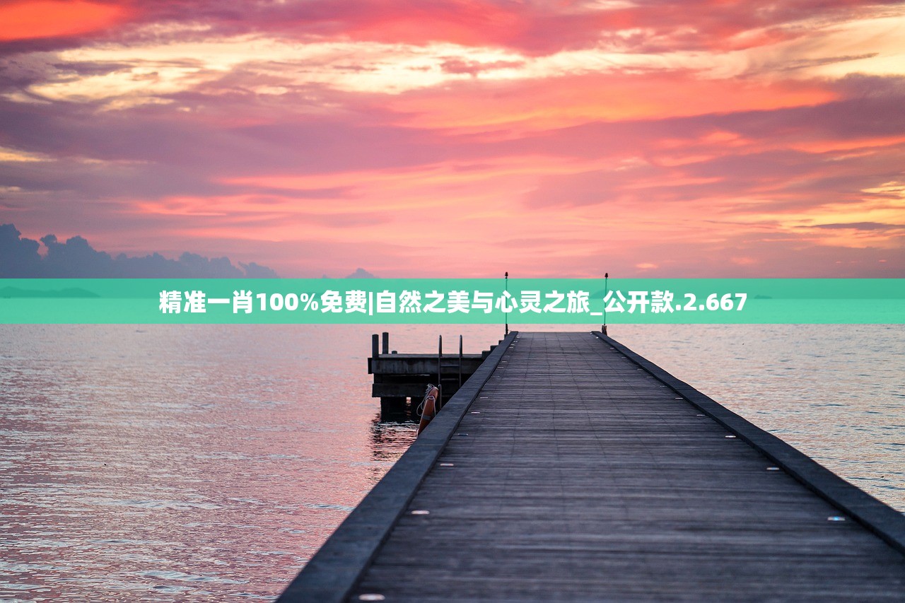 精准一肖100%免费|自然之美与心灵之旅_公开款.2.667