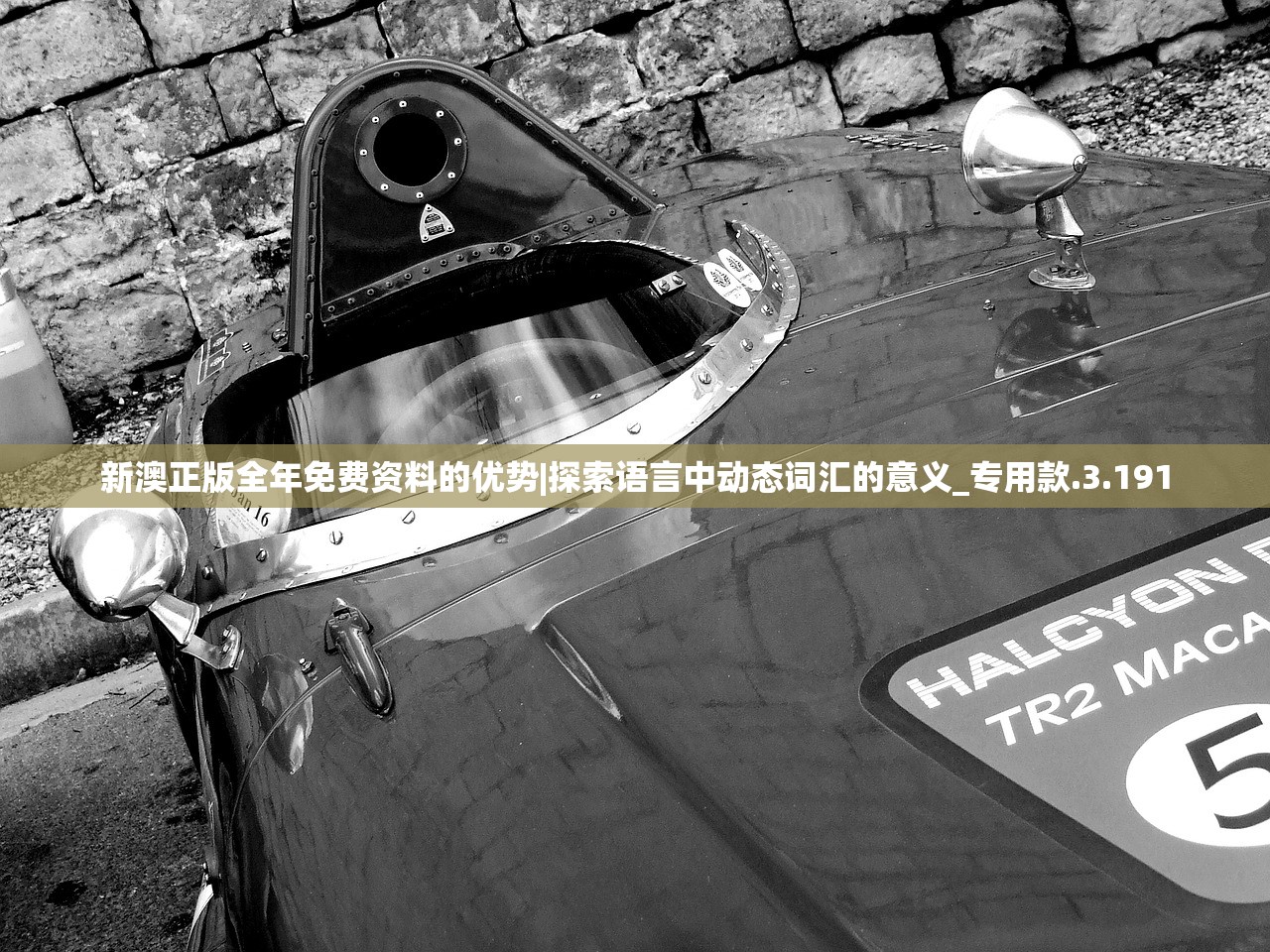 新澳正版全年免费资料的优势|探索语言中动态词汇的意义_专用款.3.191
