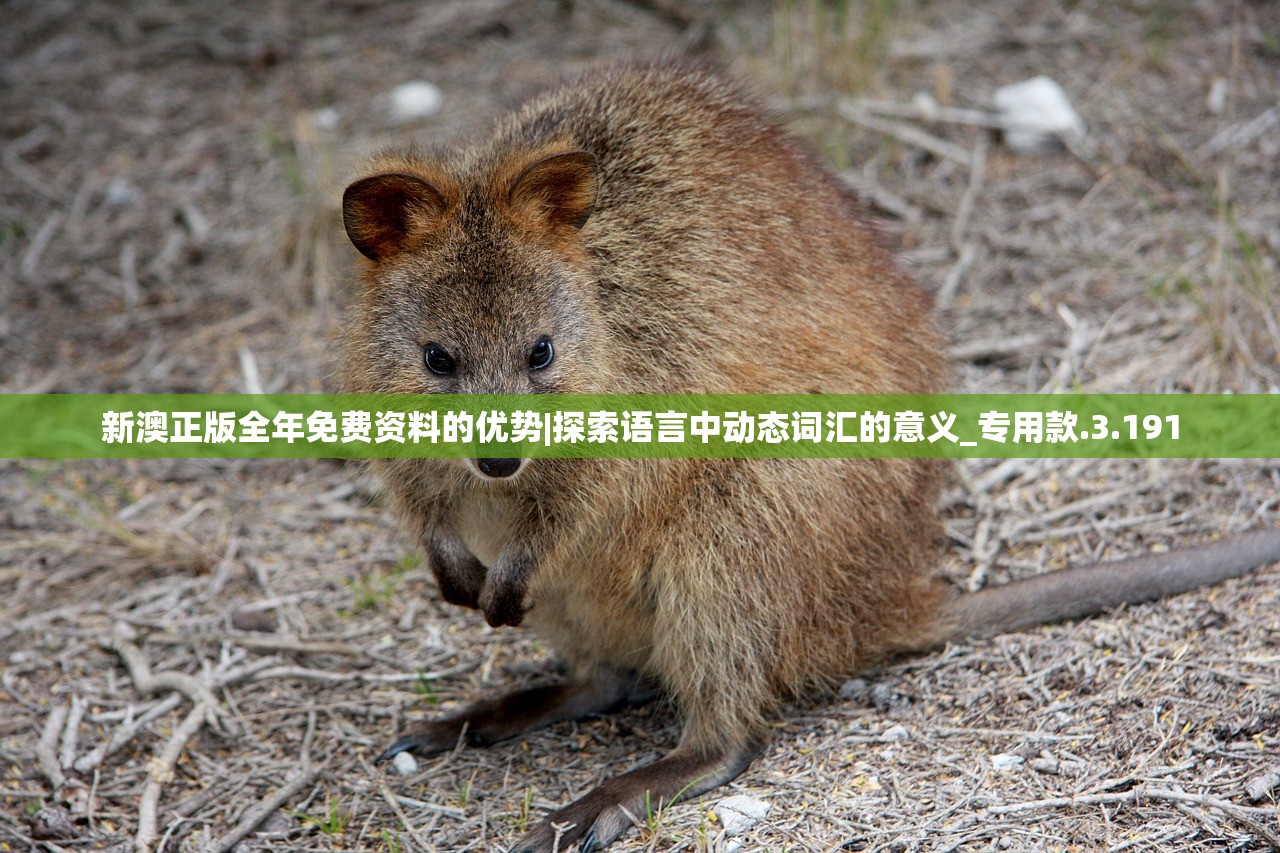 新澳正版全年免费资料的优势|探索语言中动态词汇的意义_专用款.3.191