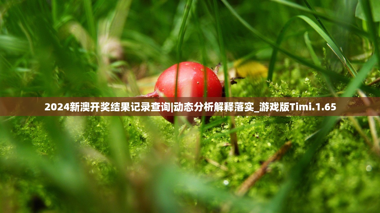 2024新澳开奖结果记录查询|动态分析解释落实_游戏版Timi.1.65