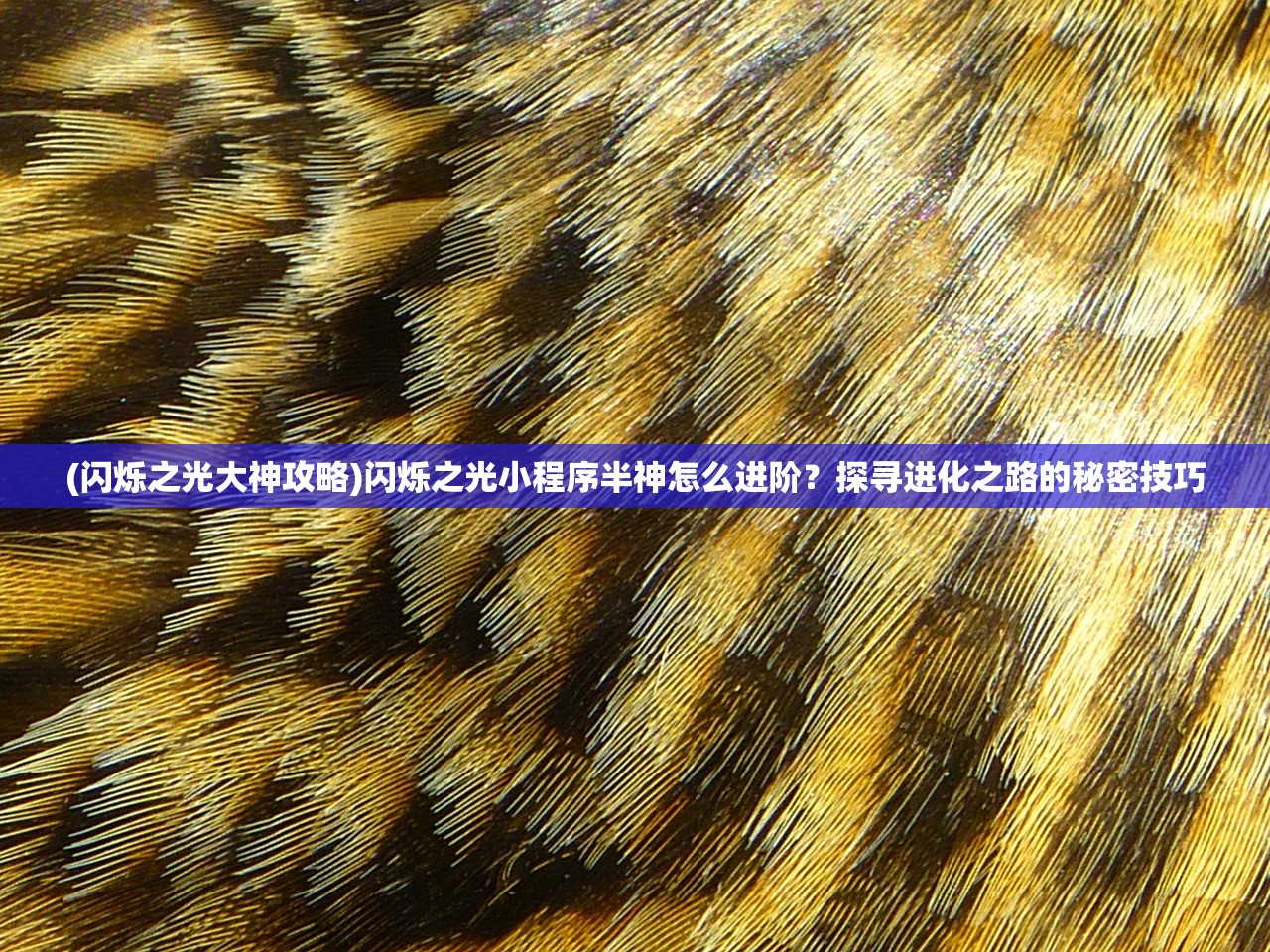 (苍之骑士团2关服公告)苍之骑士团2关服，游戏终止运营的背后与玩家情感共鸣