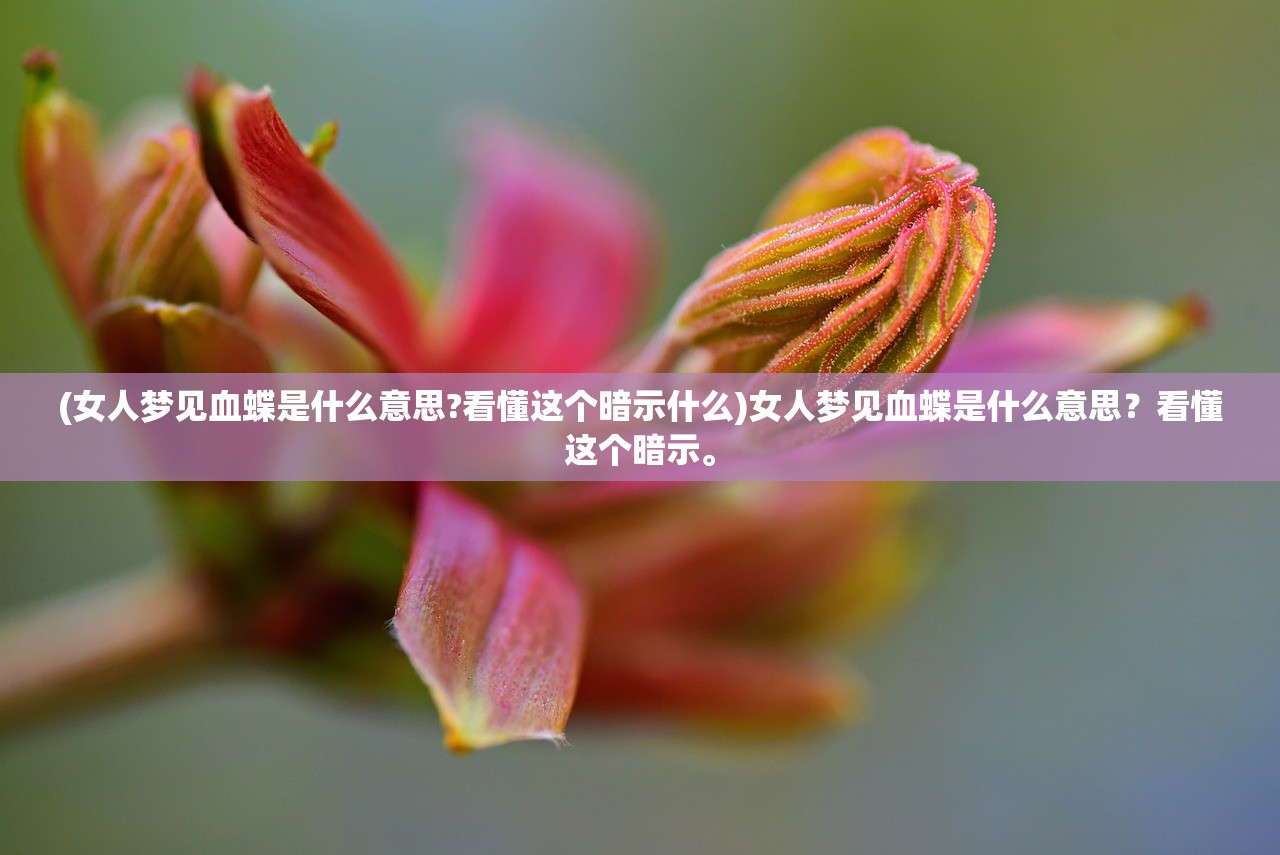 (女人梦见血蝶是什么意思?看懂这个暗示什么)女人梦见血蝶是什么意思？看懂这个暗示。