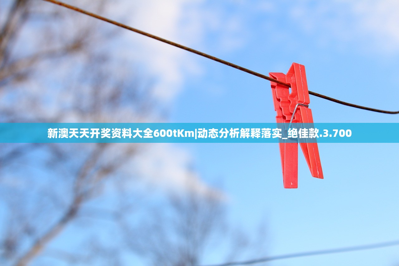 新澳天天开奖资料大全600tKm|动态分析解释落实_绝佳款.3.700