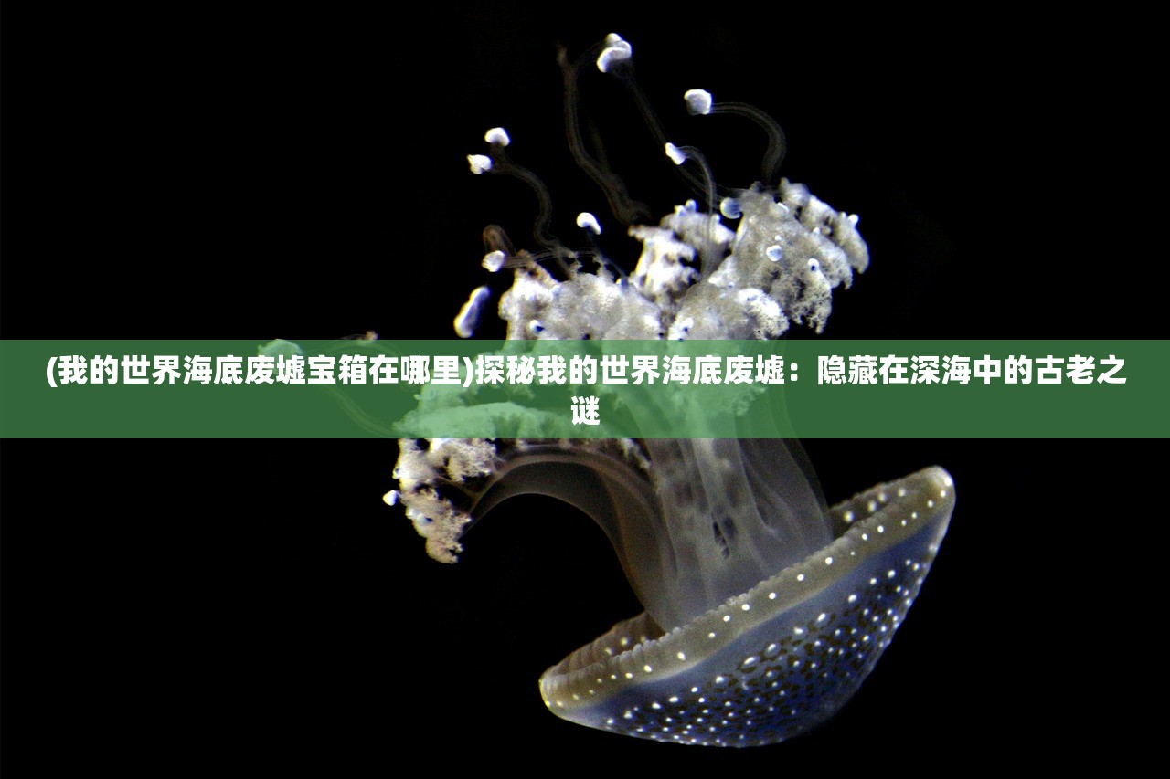 (一款单机老游戏有冰龙火龙还有魔法师)单机老游戏之冰龙火龙传奇