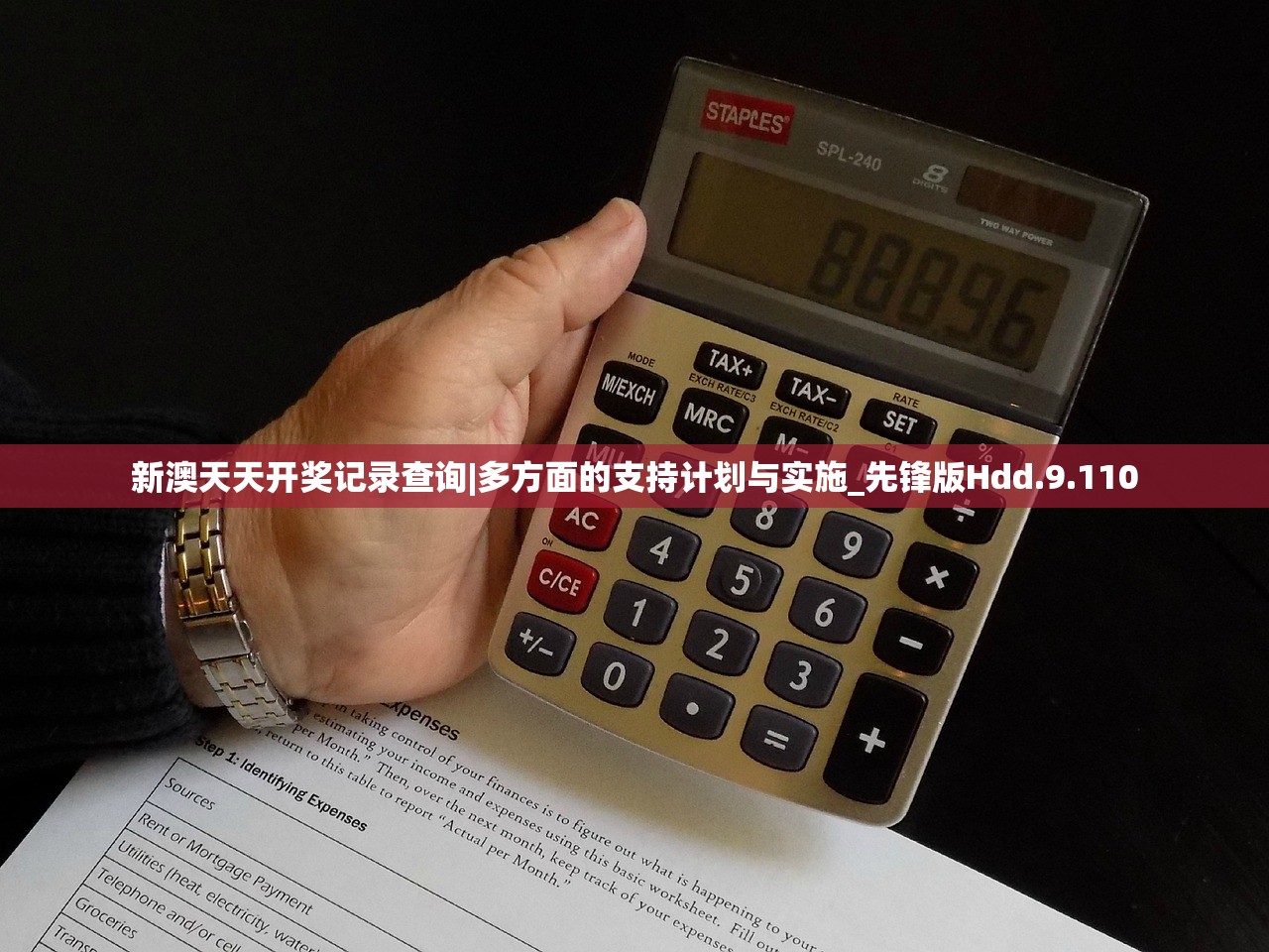 (星火商业运营有限公司)星火商会，探究其正规性与多元性分析