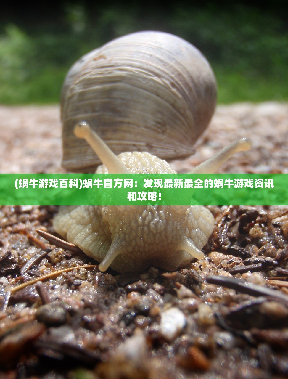 (孤岛先锋下架原因是啥)孤岛先锋下架原因深度探究及其影响