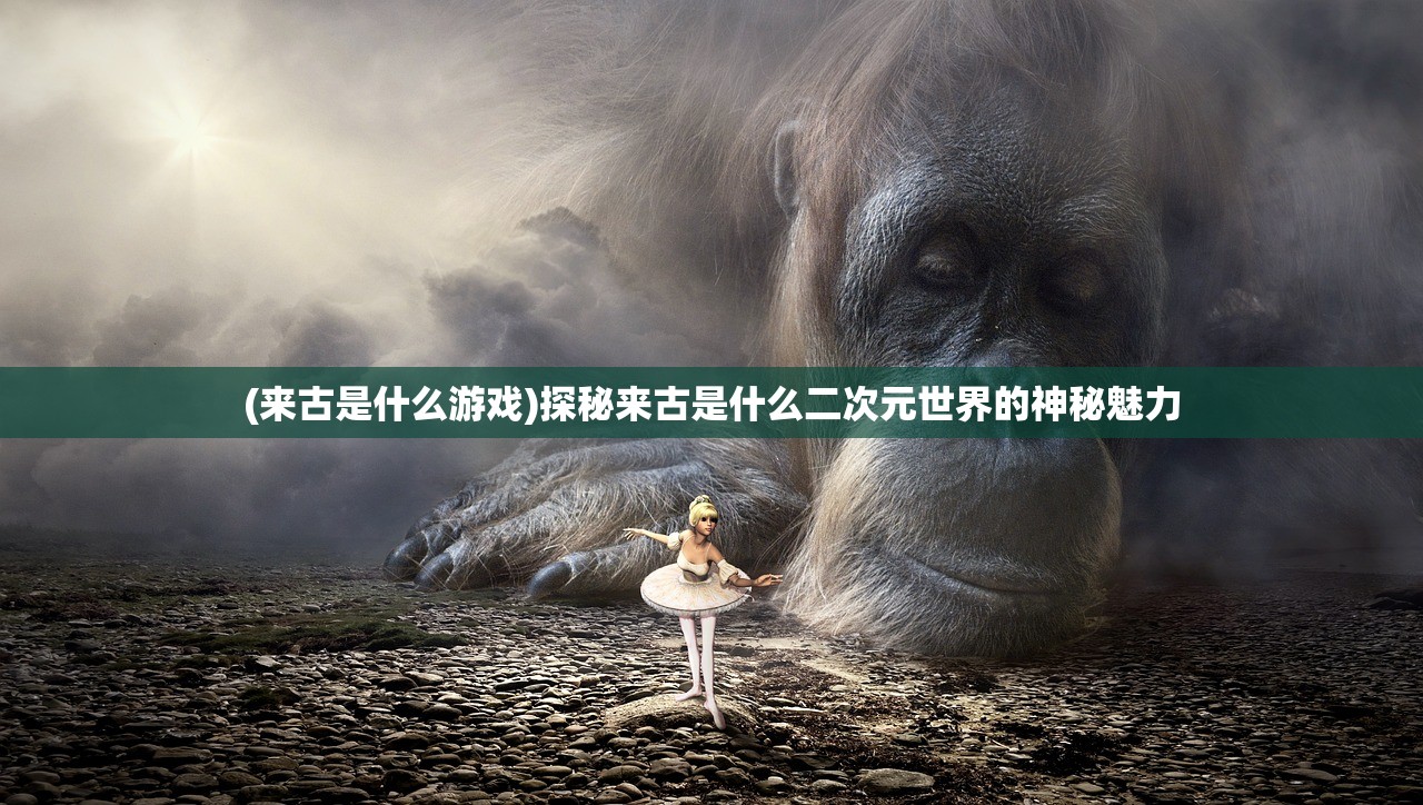 (来古是什么游戏)探秘来古是什么二次元世界的神秘魅力