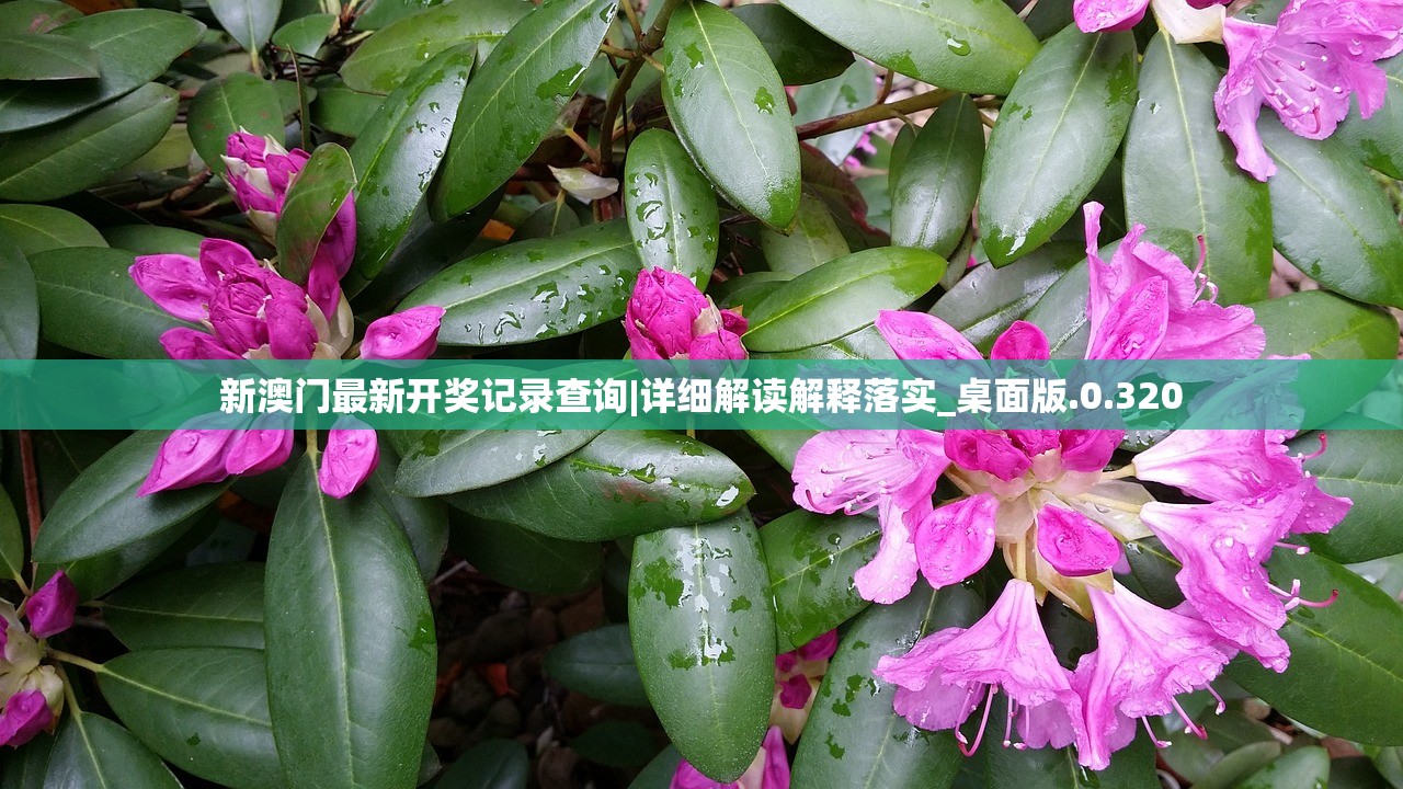 (代号STARS官网)代号Stars，探索未知的游戏世界
