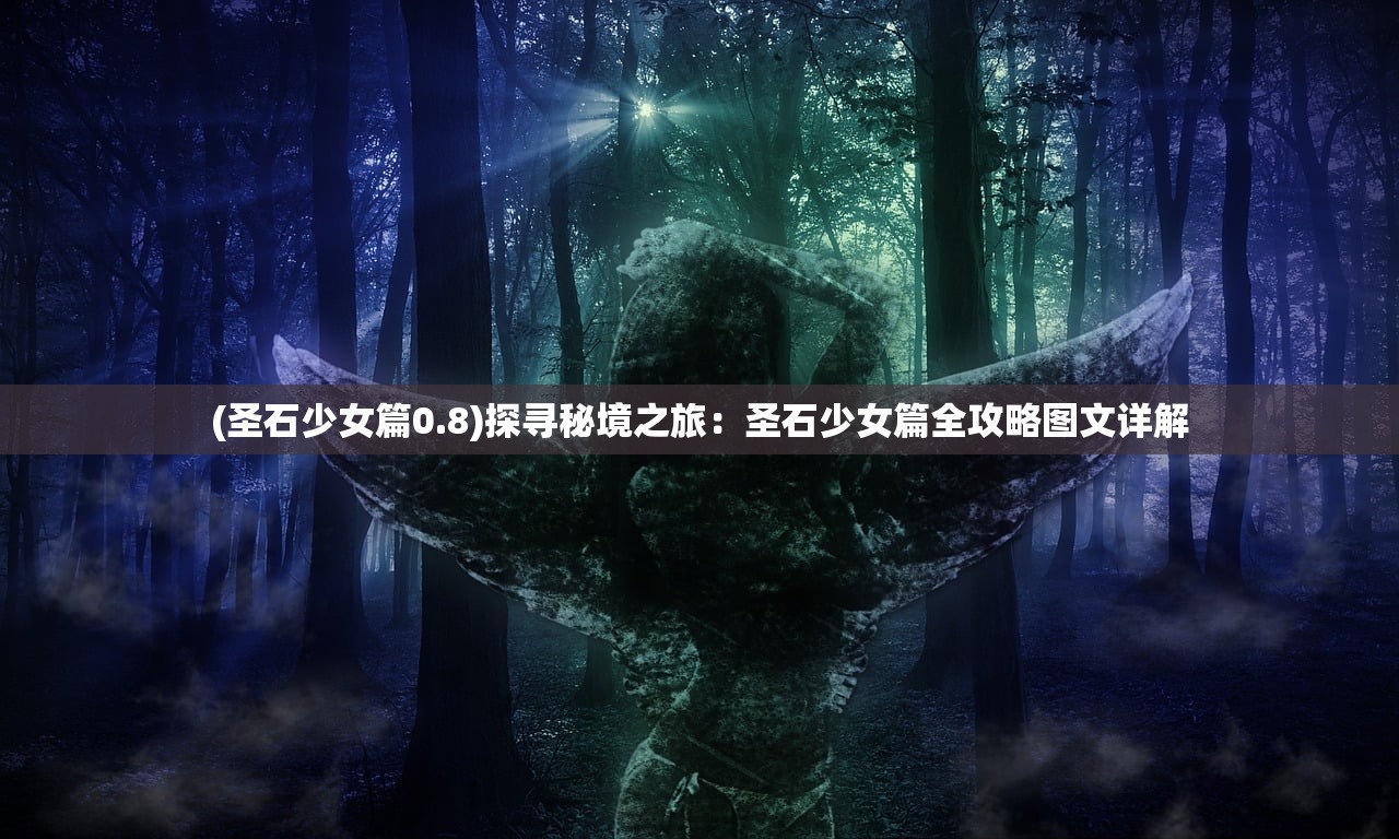 (圣石少女篇0.8)探寻秘境之旅：圣石少女篇全攻略图文详解