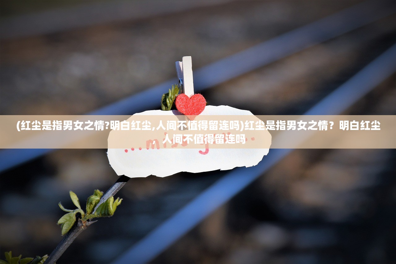 (博伊卡终极斗士5完整版电影)博伊卡终极斗士5，热血重燃的格斗盛宴