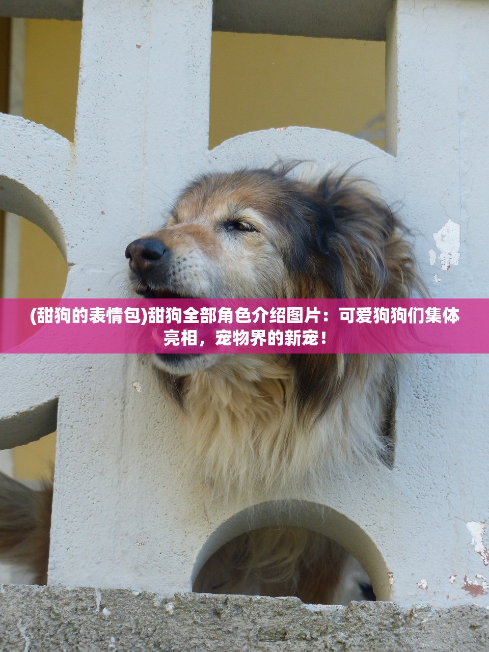 (深渊之际破解版)深渊之际，探索未知的边界