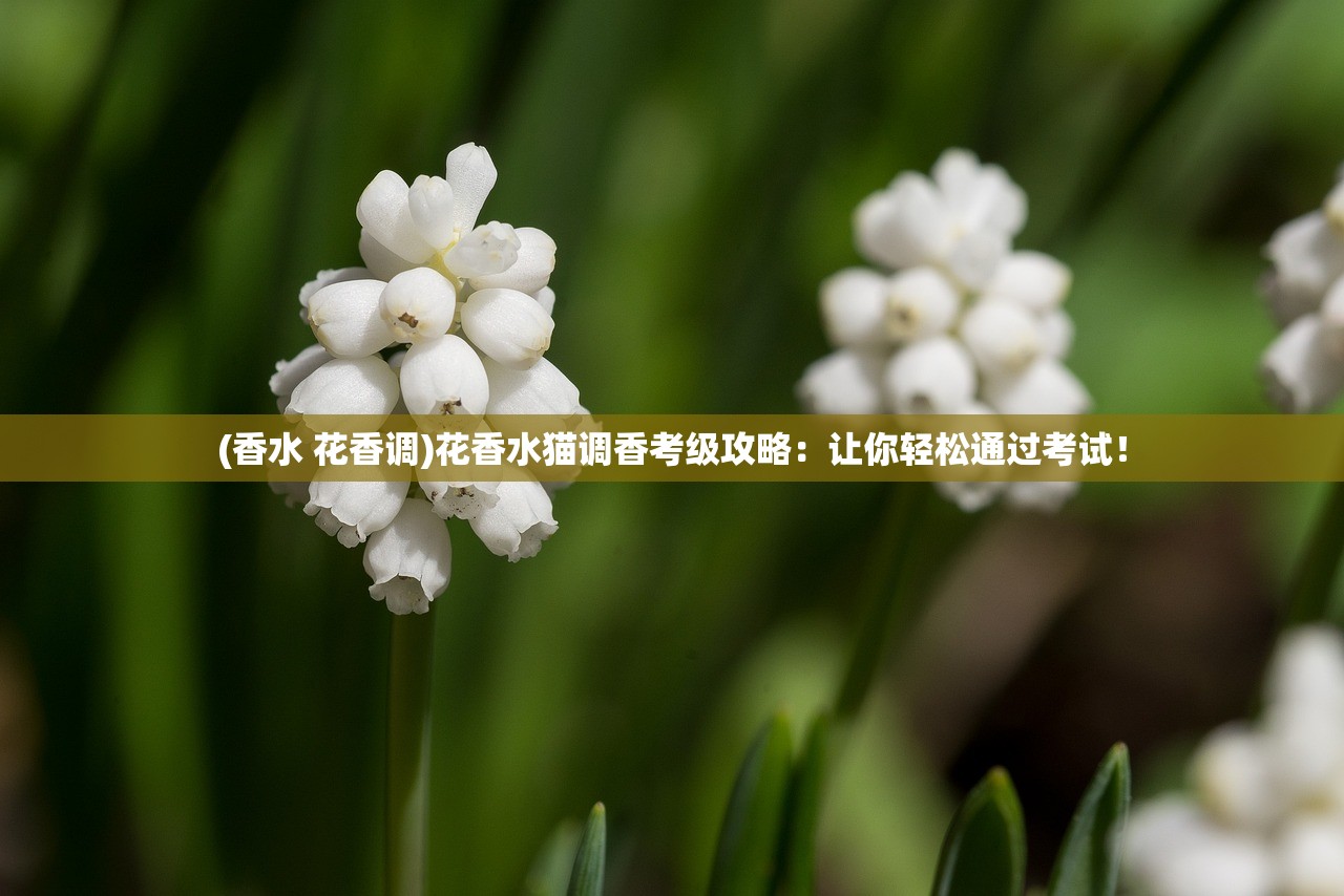(铸剑物语2详细攻略图文)铸剑物语2全攻略图文详解及常见问题解答