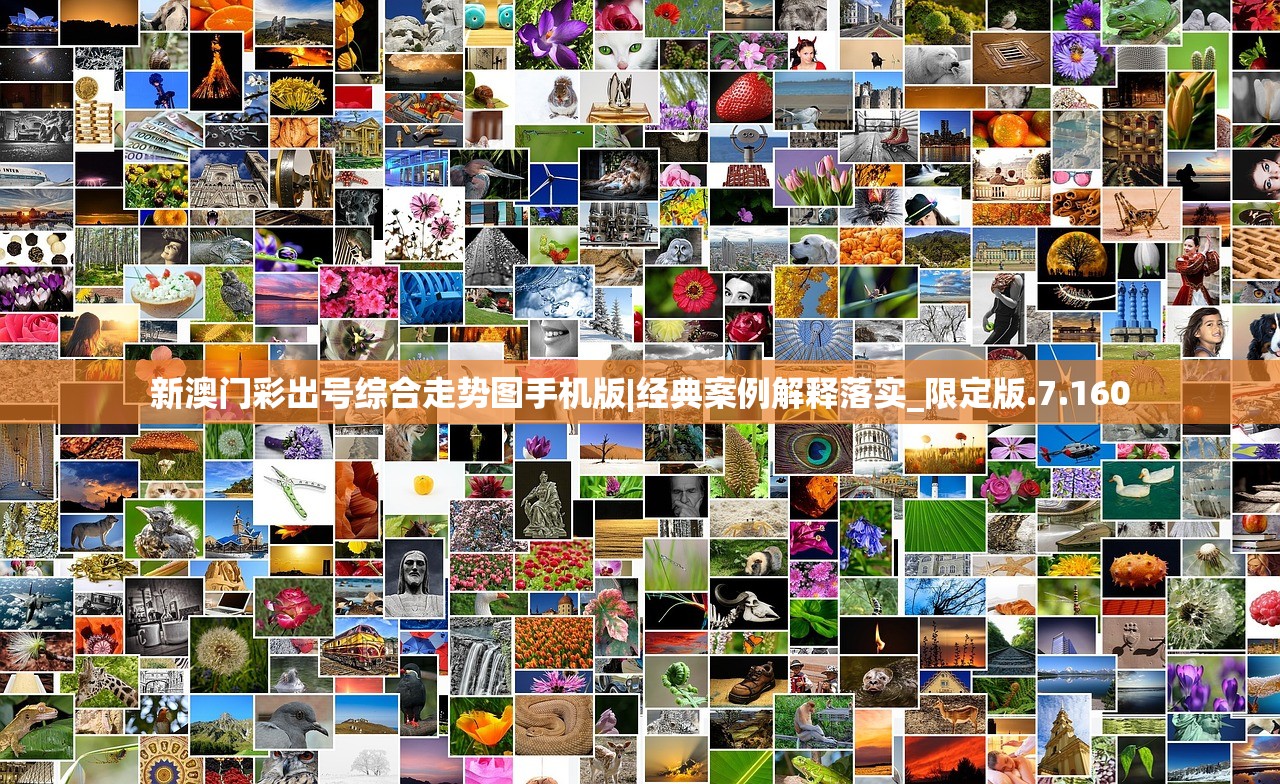 (城堡英雄排名前十)城堡英雄排名，揭示荣耀之巅的勇者传奇