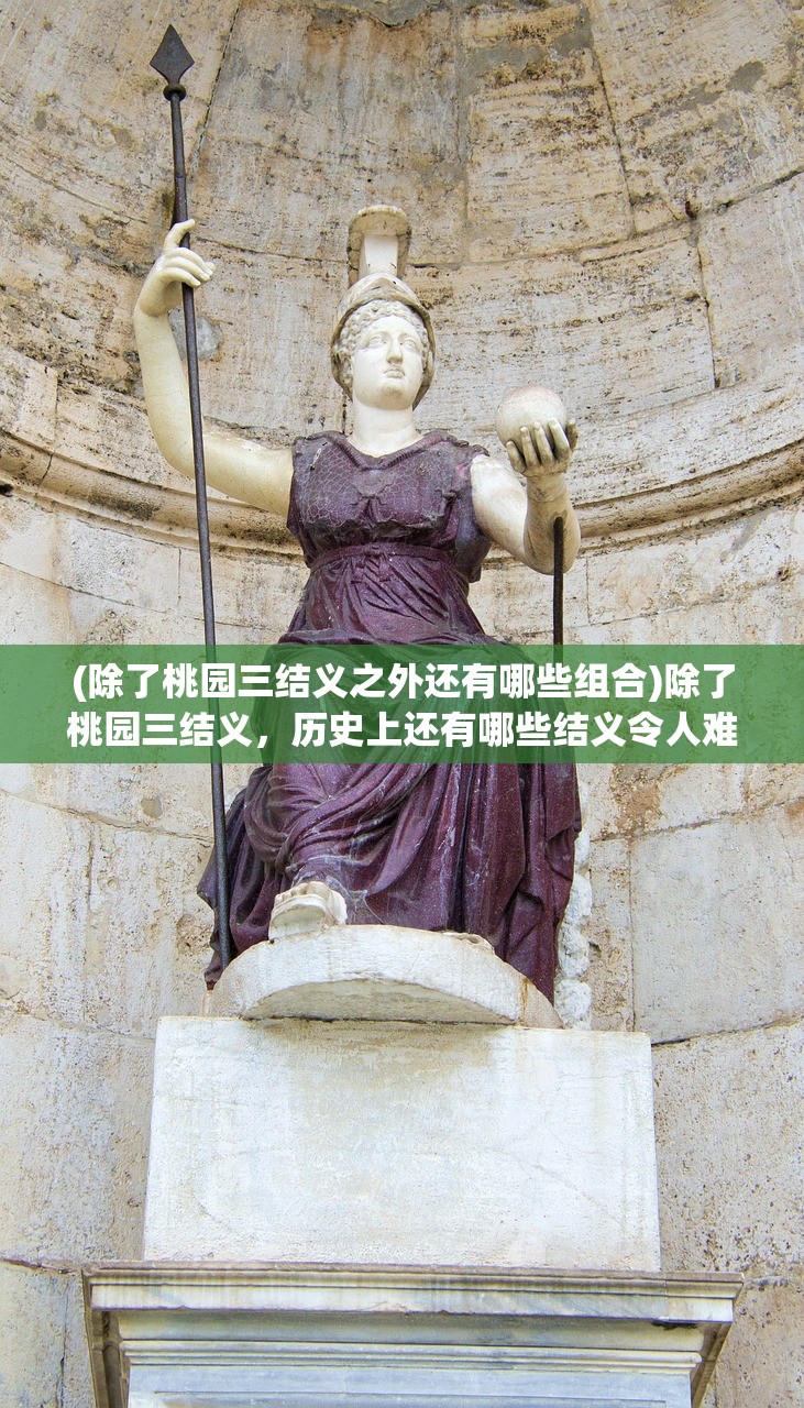 (纳萨力克之王)纳萨力克，深入探究与常见问答