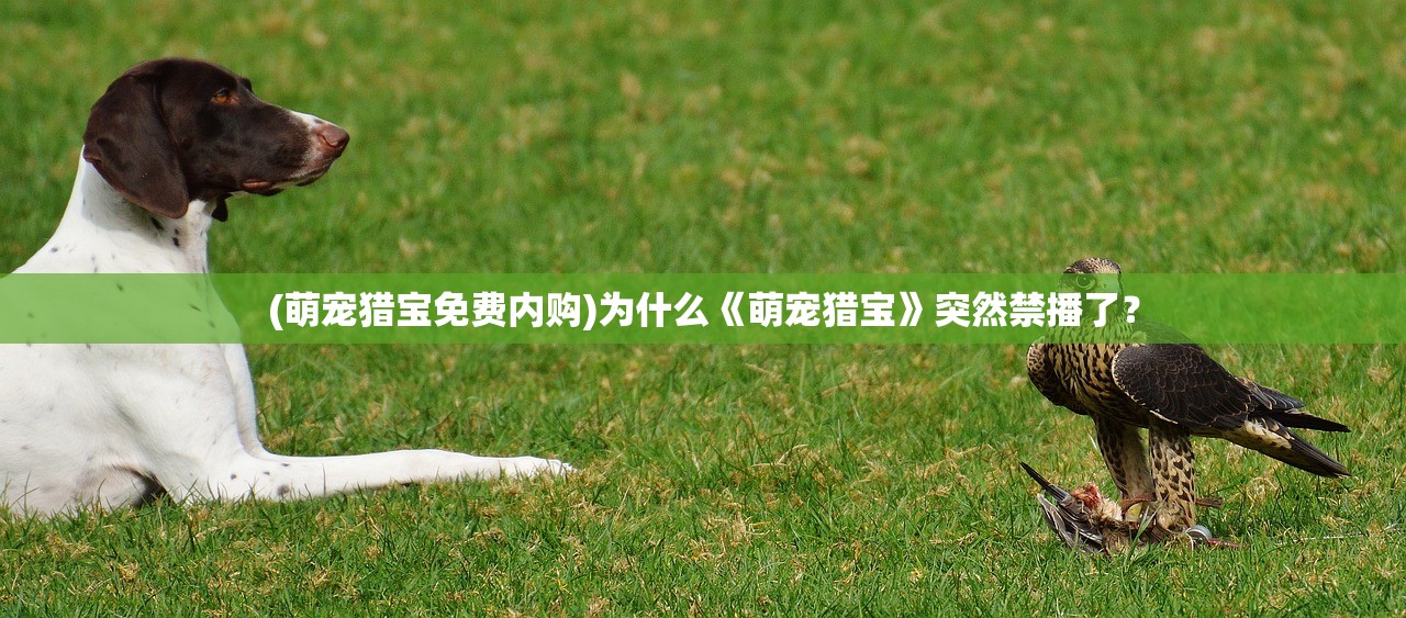 (亲临三国手机版下载)亲临三国梦红楼——探寻历史与文学的交融之美