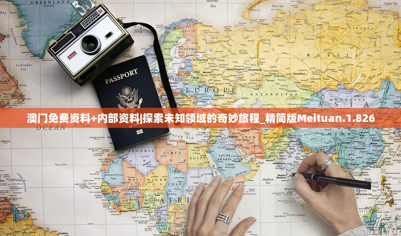 (偶像请回答)偶像请回筿，重塑流行文化的魅力之旅