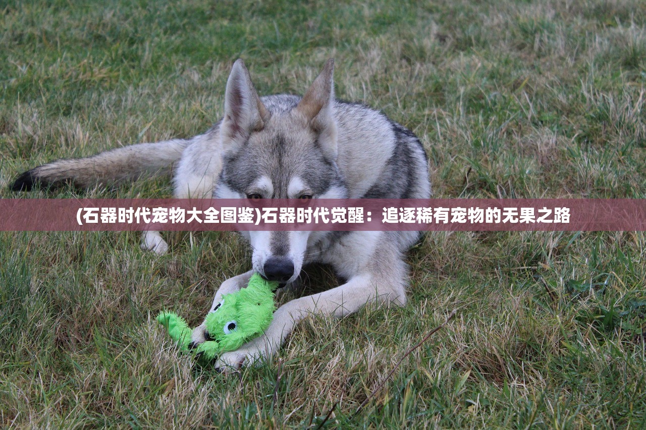 (元气食堂小游戏破解版)元气食堂小游戏，体验独特的烹饪冒险之旅