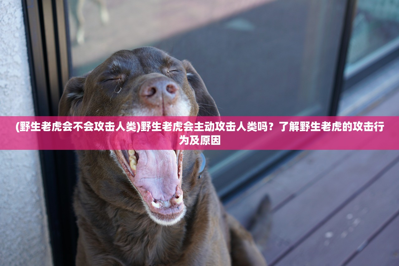 (圣火文明手游能玩吗知乎)圣火文明手游能玩吗，深度解析与常见问题解答