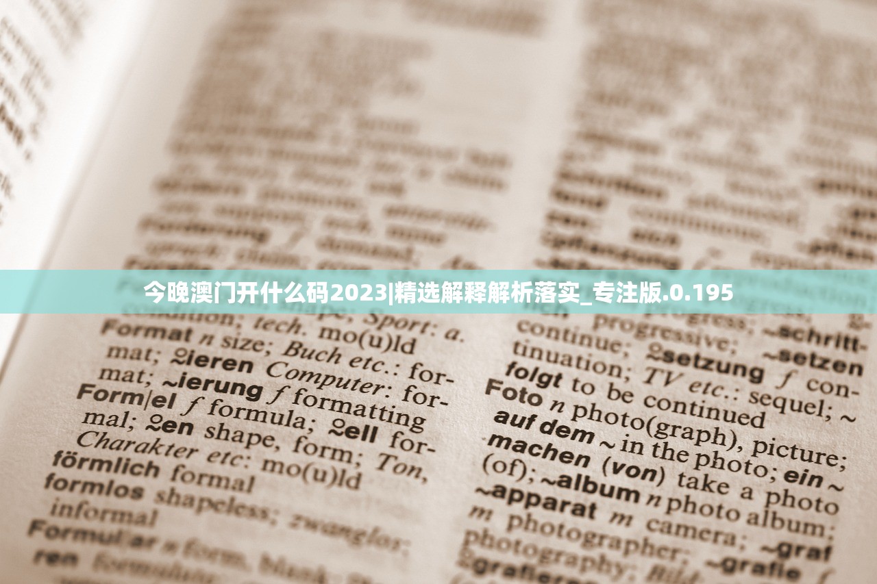 (捕盗行纪攻略教程)捕盗行纪攻略，全方位解析与常见问题解答