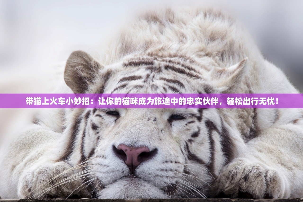 (小小西游ol改名叫什么了)小小西游ol官方网站——探索经典西游的多元化魅力