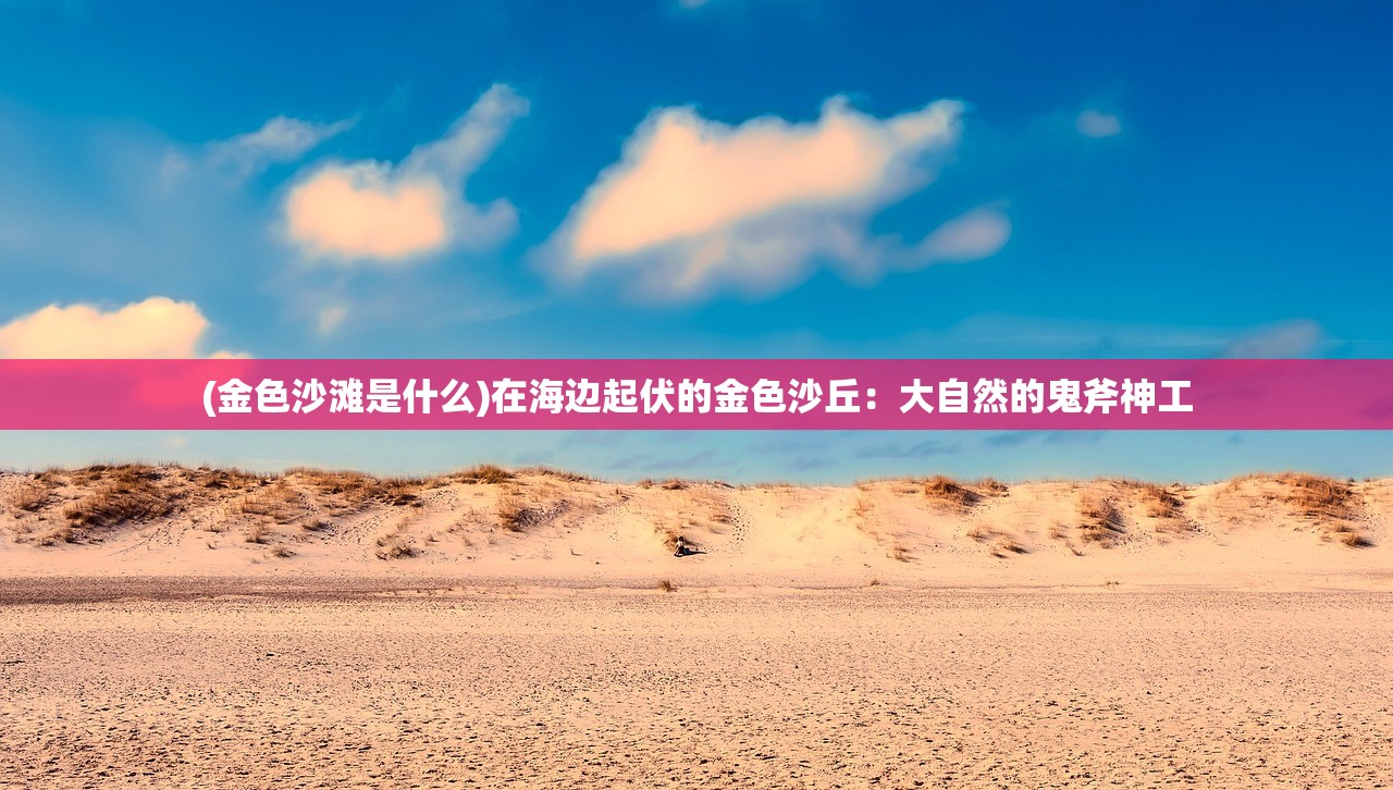 (丫头2免费全集)丫头2，青春的多彩篇章