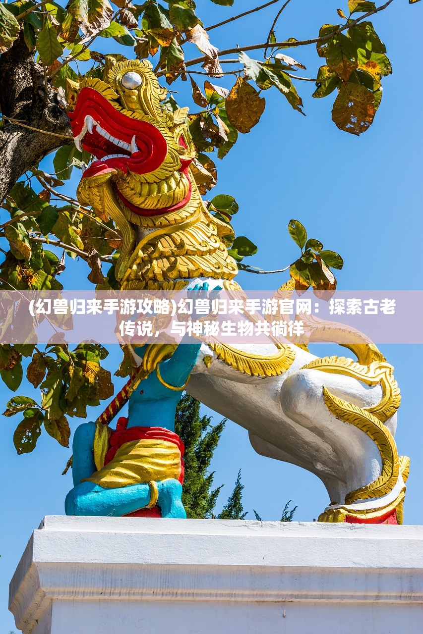(不死不休是哪个英雄的台词)不死不休的英雄传奇——揭秘背后的英雄人物