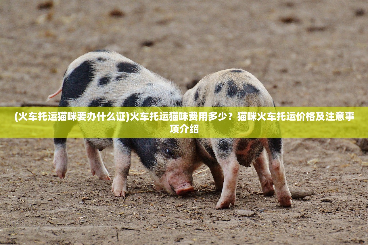(堕落0.58 攻略)堕落0.55攻略大全详解及常见问答解答