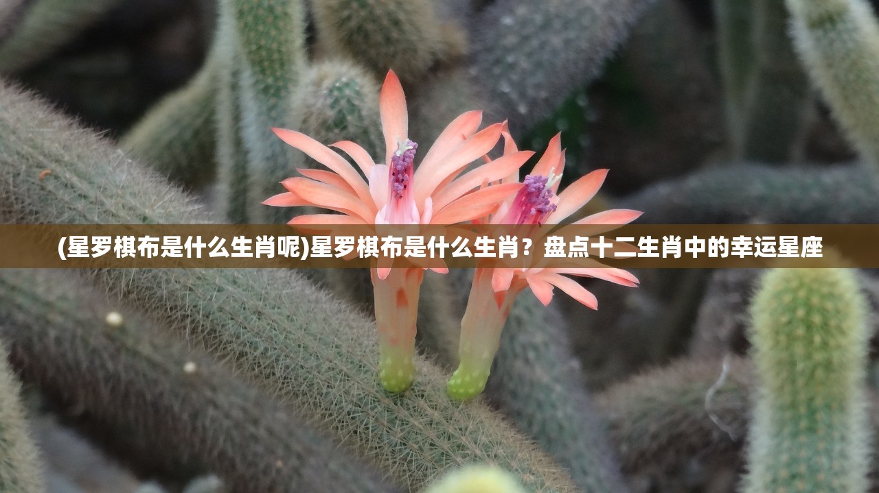 (热血传说之复古英雄版道道组合后期厉害么?)热血传说之复古英雄版，重温经典，英雄再临