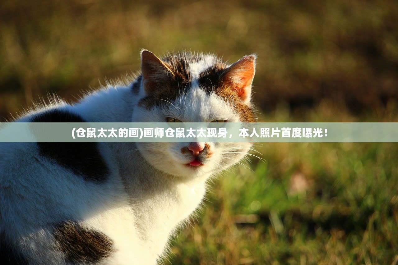 (王者之路讲的是哪位球星的故事)王者之路，揭秘那位闪耀球星的辉煌历程