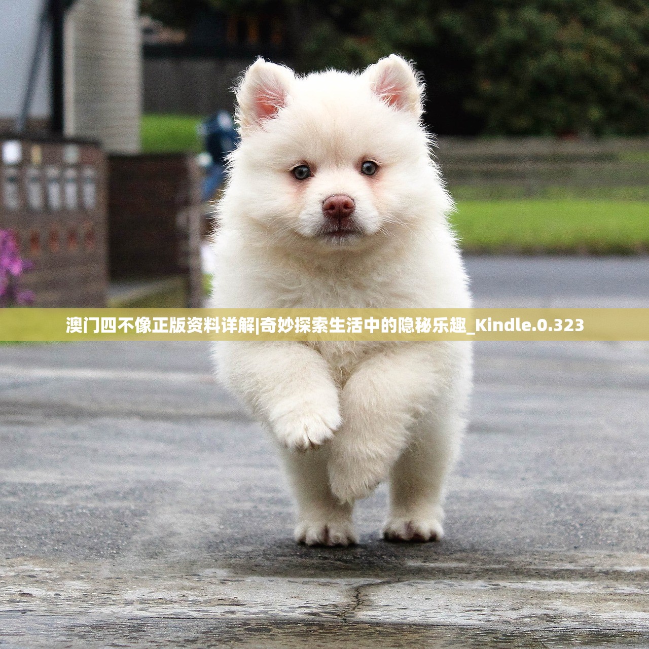 (虐杀原形攻略中文解说)虐杀原形攻略中文解说及常见问答