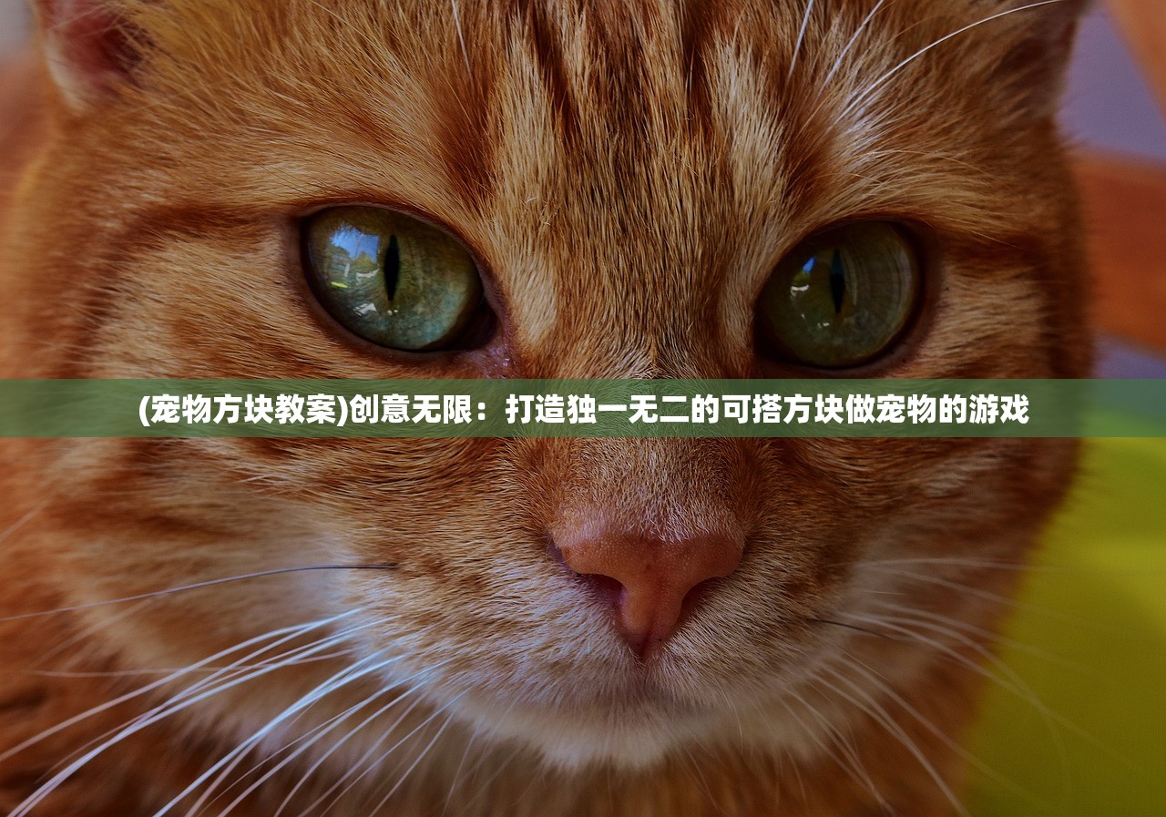 (恋姬无双后无法打开游戏)恋姬无双后无法打开问题解析及解决方案