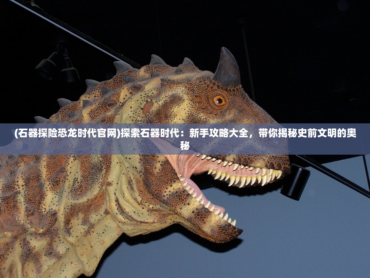 (三国之我竟然成了黄巾贼)穿越三国，我竟然成了黄巾贼