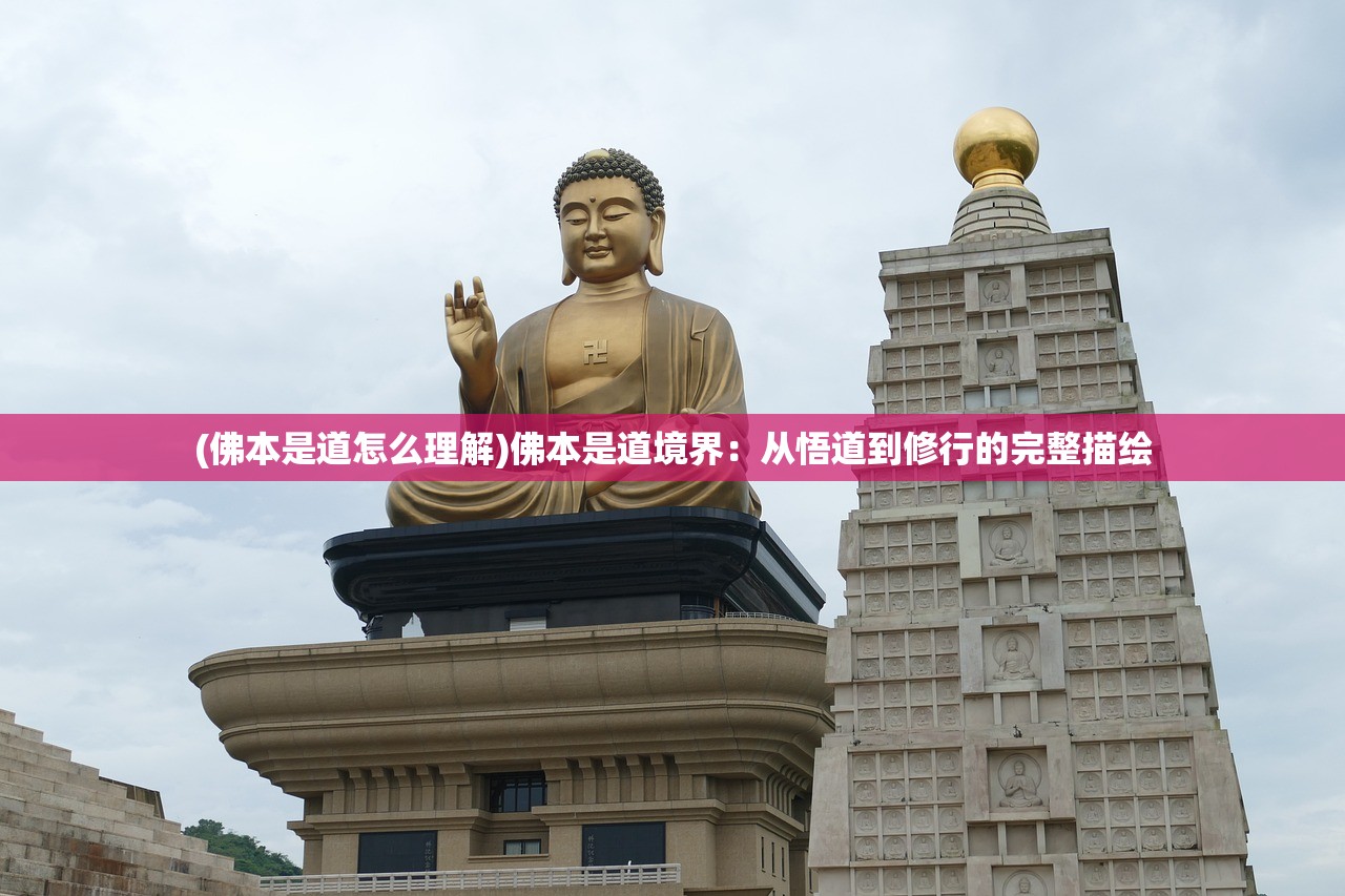 (奇趣博物馆航海图怎么获得的)奇趣博物馆航海图获取攻略及常见问题解答