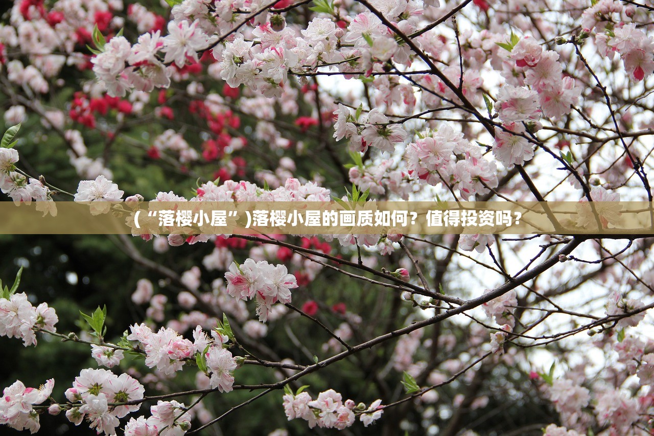 (御神战姬测试服怎么下载)御神战姬测试服，深度体验与探索
