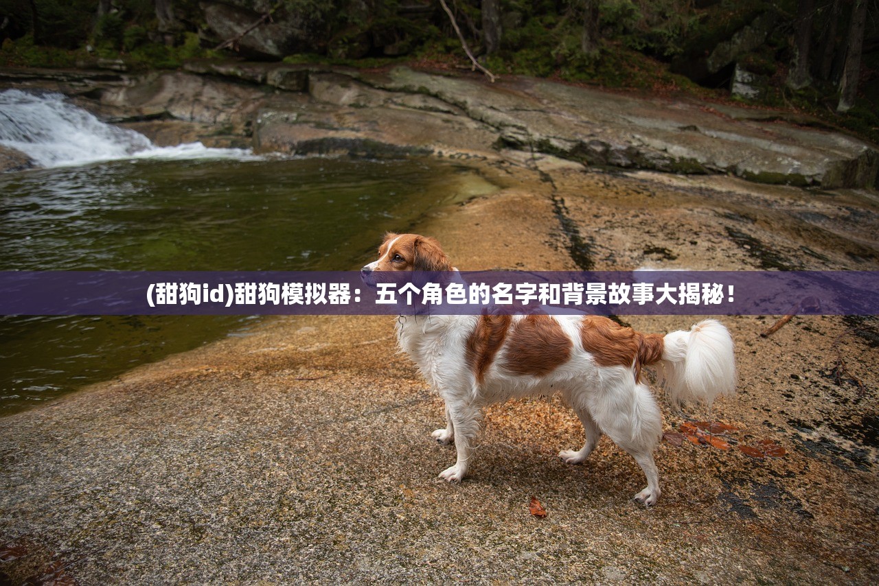 (放置江湖任我行在哪)放置江湖任我行，探索自由与策略的深度交互