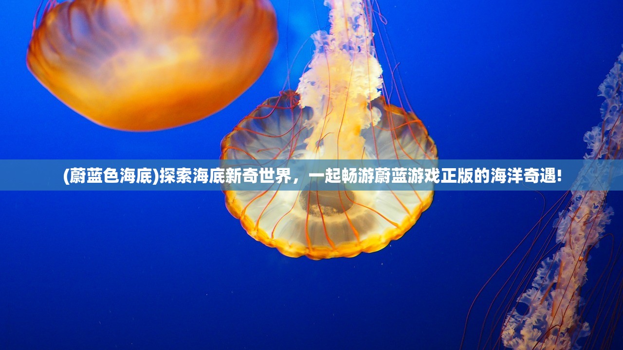 (冥王神话lc在线观看)冥王神话LC，深度解析与探讨