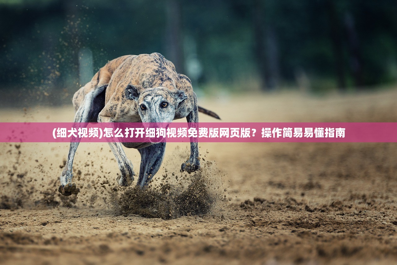 (战神纪手游官网)战神纪手游攻略大全及常见问题解答（FAQ）