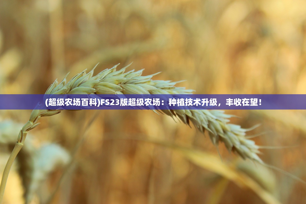 (斗卡勇士攻略大全)斗卡勇士攻略大全，全方位指南助你成为顶尖玩家