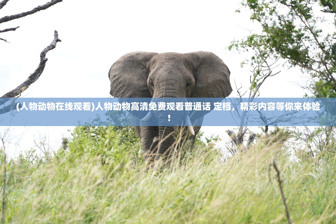 (巨龙猎手龙魂时刻怎么获得)巨龙猎手龙魂时刻，游戏内外的英雄传奇