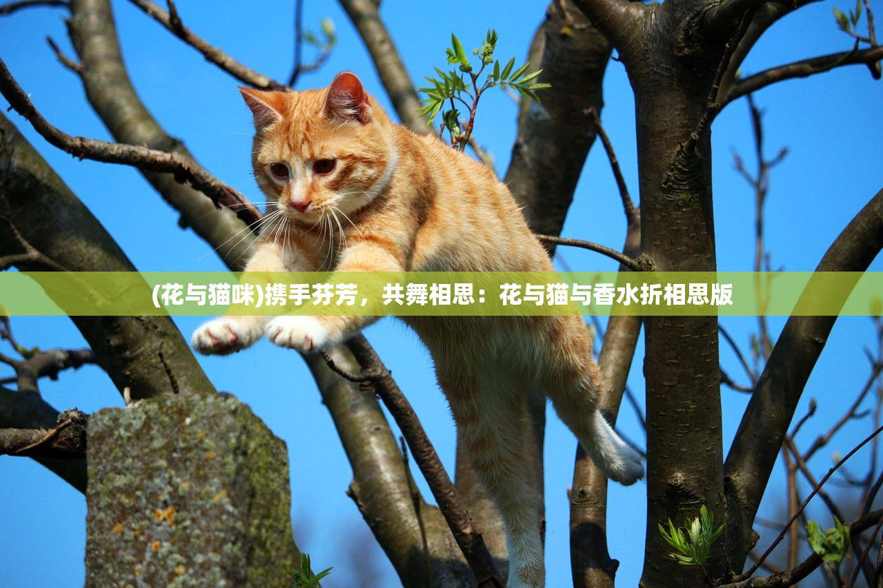(不良人1手游还有吗)不良人手游1下架了吗，探究原因与未来展望