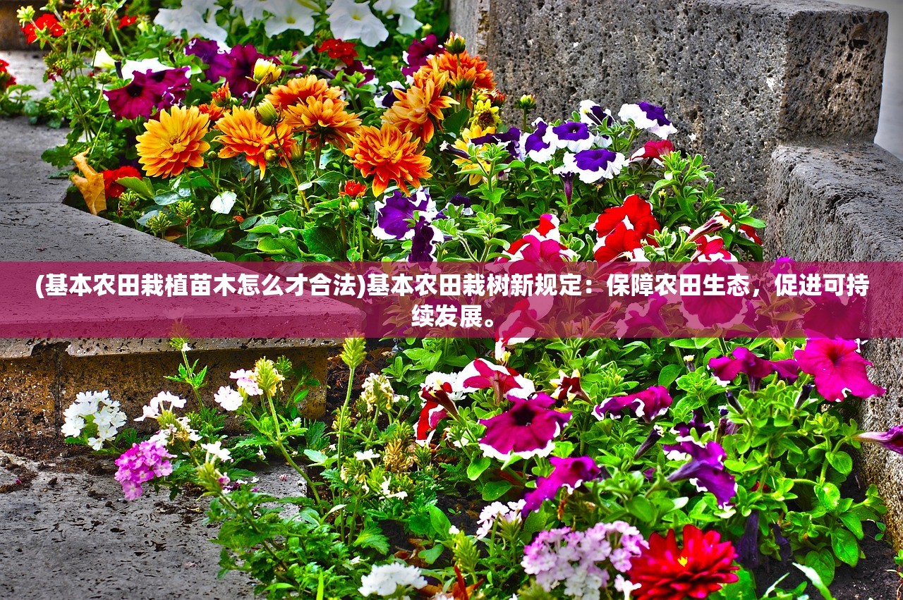 (六月衷曲结局)六月衷曲剧情解析与探讨