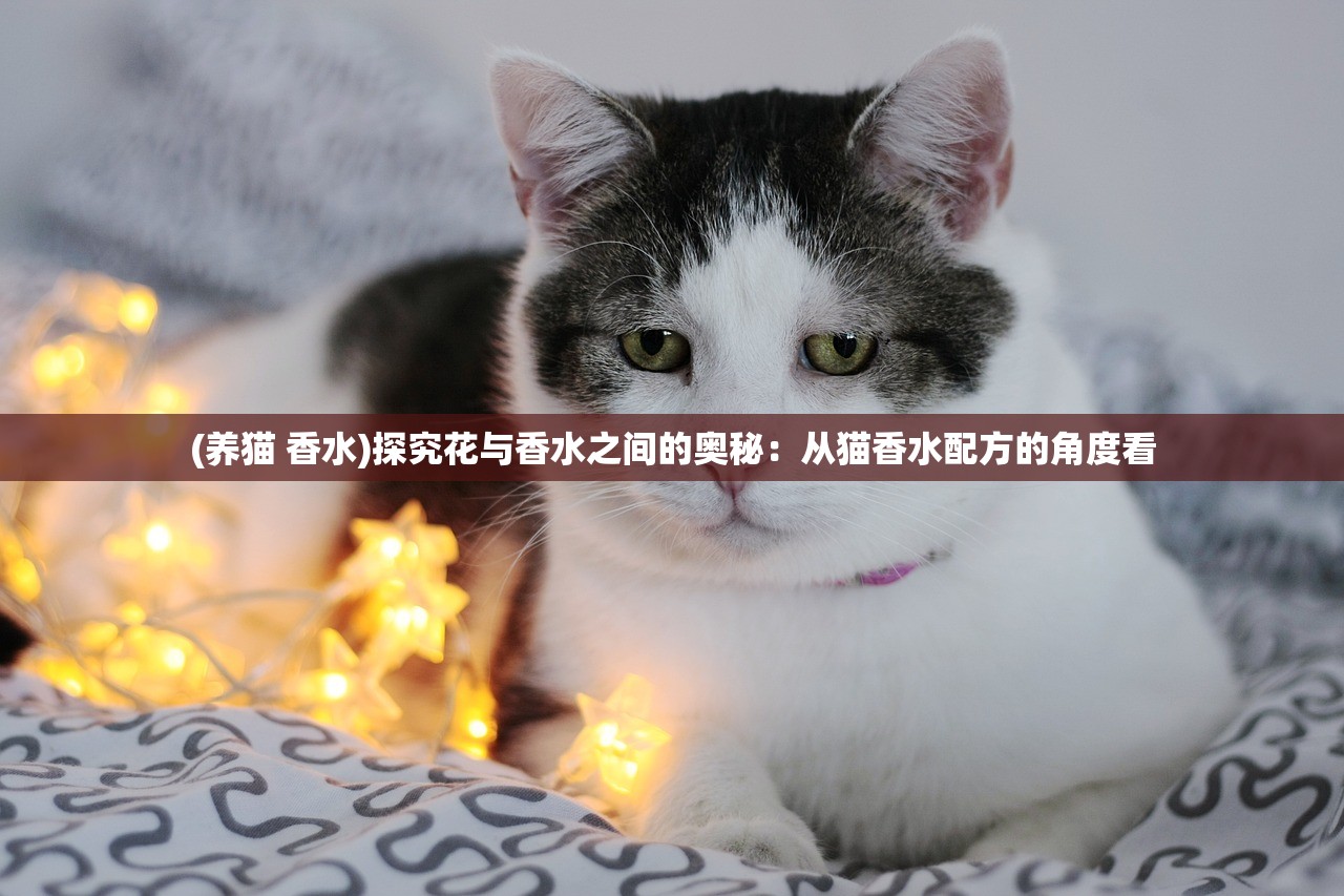 (皇后成长计划2弘历攻略详细)皇后成长计划2攻略，如何成为弘历皇后？