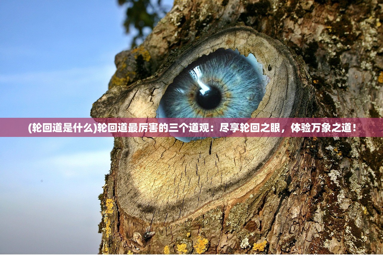 (开局一个小兵的单机游戏叫什么)开局一个小兵，独特的单机游戏魅力