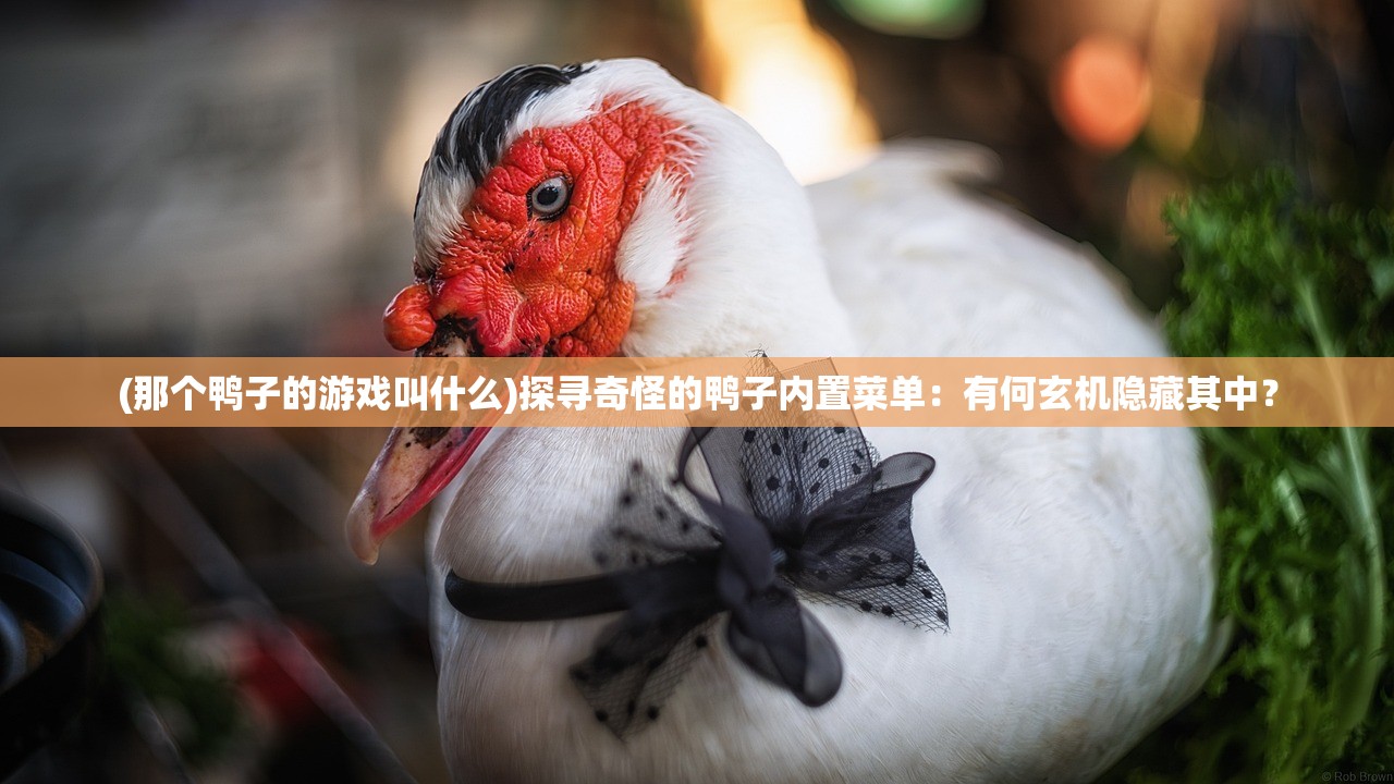 (仙境传说ro:爱如初见)仙境传说RO，爱如初见PK的魅力与挑战