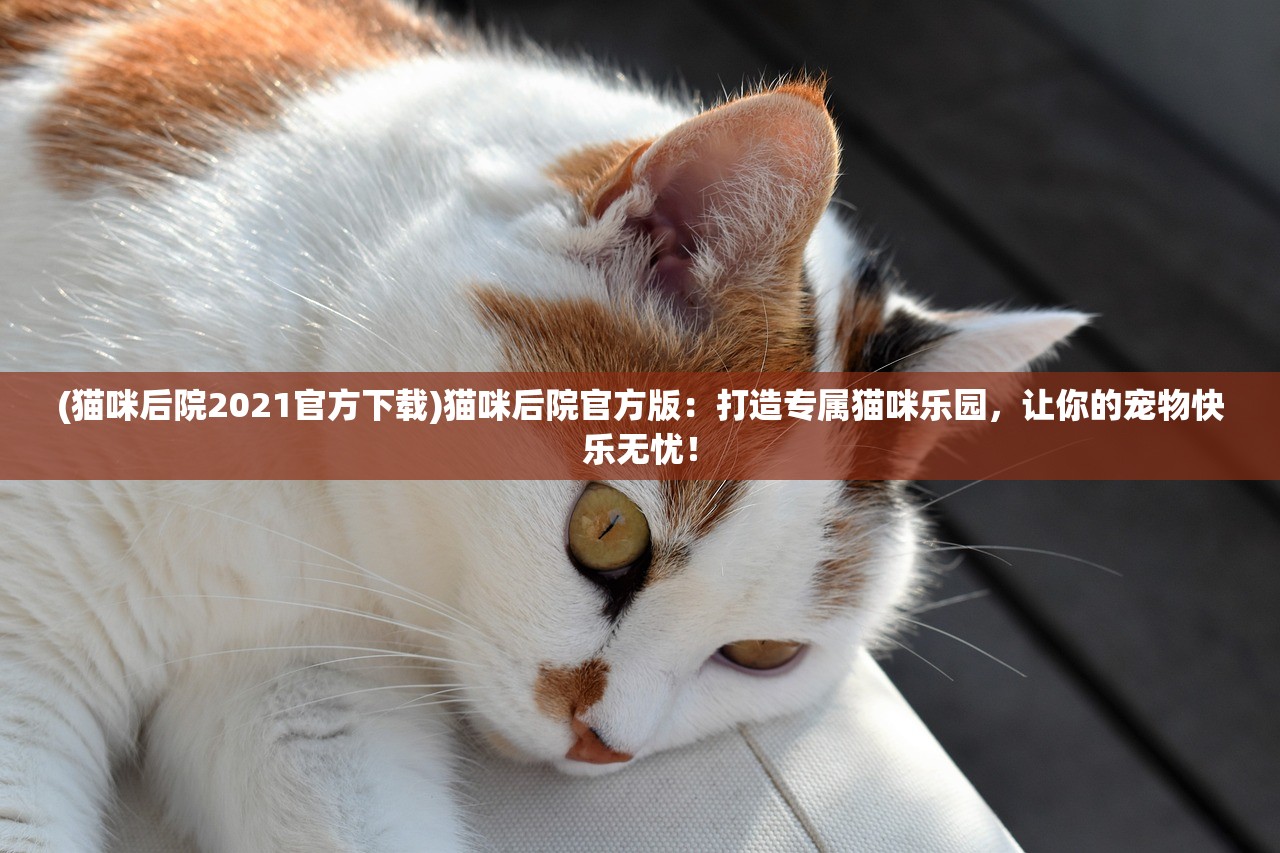 (航海贸易物语存档版)航海贸易物语存档，探索与解析