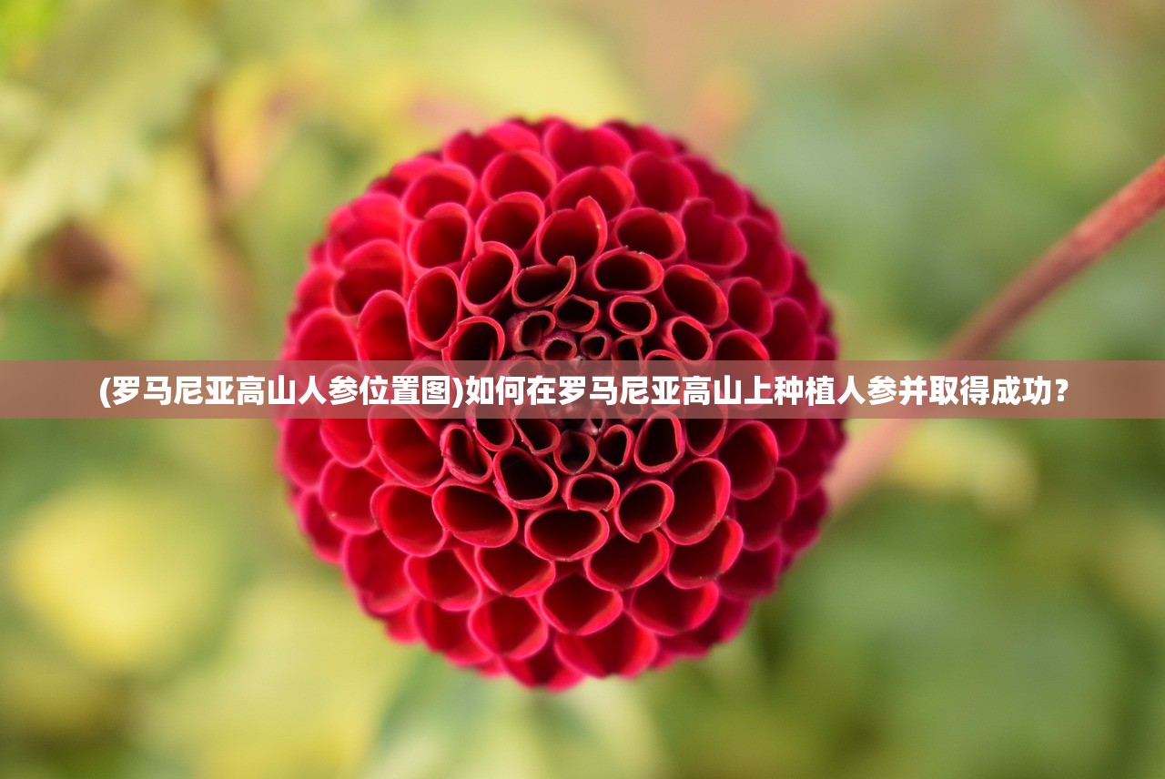 (大侠式人生重制版无限行动点)大侠式人生重制版，无限真元的探索与挑战